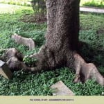 Assignments for 28/07/2013 1