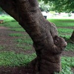 Assignments for 28/07/2013 2