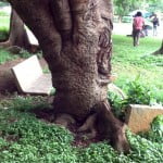 Assignments for 28/07/2013 3