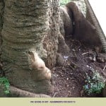 Assignments for 28/07/2013 5