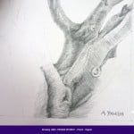 Students drawings - August 2013 1