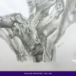 Students drawings - August 2013 3