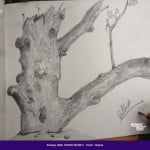 Students drawings - August 2013 4