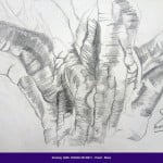 Students drawings - August 2013 6