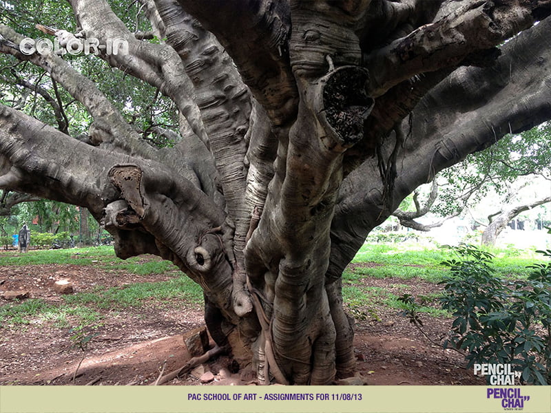 Assignments for PAC SOA 15th Class 4