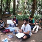 Landscapes got colored in Bugle park! 3