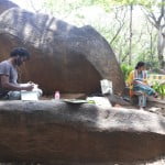 Landscapes got colored in Bugle park! 6