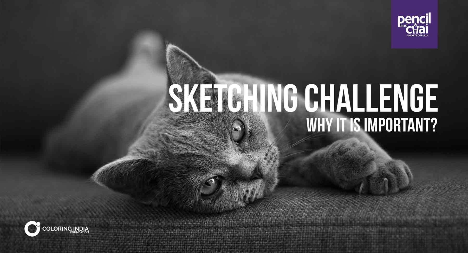 Sketching Challenge : Why it is important ?